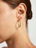 Large Oval Hoops