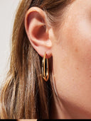 Large Oval Hoops