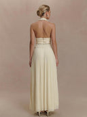 Backless Spaghetti Strap Crop Top &Pleated Maxi Skirt Two-Piece Set