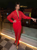 Sexy Deep V See-through Pleated Maxi Dress