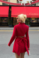 Stand Collar Bow Design Mini Dress