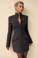 Stand Collar Long Sleeve Mini Dress
