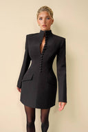 Stand Collar Long Sleeve Mini Dress