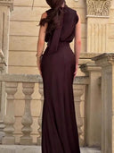 Exquisite Chocolate Brown High-neck Sleeveless Maxi Dress