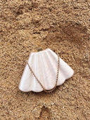 Shell Element Chain Bag Hand Bag