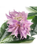 Lily Hair Clip
