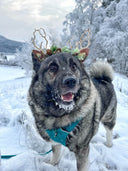 Burgundy Spring Christmas Reindeer Headband