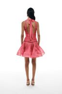 Ruched Drop Waist Organza Mini Dress