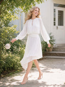Asymmetrical Hem Long Sleeve Chiffon Midi Dress