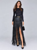 Elegant Fitted Long Sleeve Top & Fringe Maxi Skirt Two Piece Set