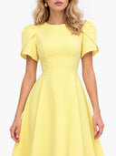 Elegant High-neck Bud Sleeve Midi Dress