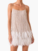Fairy Lights Sequin Layered Feather Fringed Mesh Mini Dress
